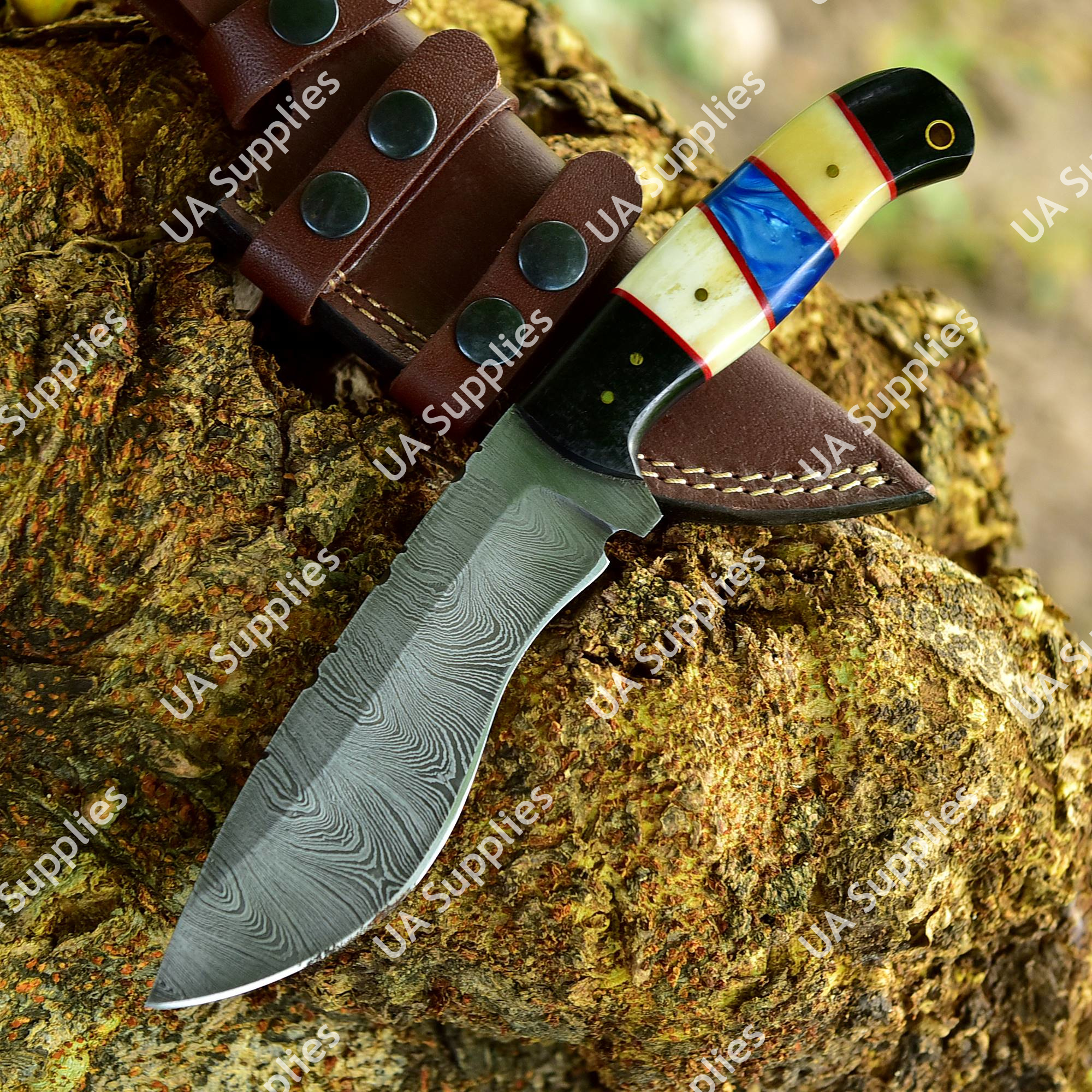 Chinar Wood