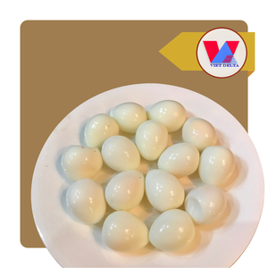 HUEVOS DE CODORNIZ EN SALMURAS DE 15 oz, ENLATADOS, ECOLOGICOS, PELADOS, LISTOS PARA COMER, IDEALES PARA SOPAS ASIÁTICAS, BAOZI Y CARNE BRASADA - Product Image 1