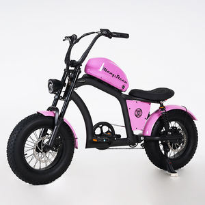 HEY-For Chopper Motocicleta Todoterreno FT02 MINI Motor de 500W 48V22.5AH Velocidad 25KM/H China - Product Image 1