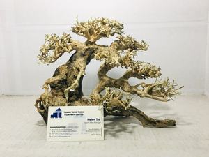 Nuevo artículo: Madera flotante para reptiles, ramas de madera flotante para paisajismo de acuarios, decoración de peceras de madera de Vietnam para mayoristas. - Product Image 3