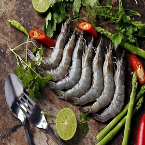 Langostinos Frescos Premium a Precio de Mayoreo, Mariscos para Restaurantes, Mercados Minoristas y Cocina Diaria con Sabor Natural - Product Image 5