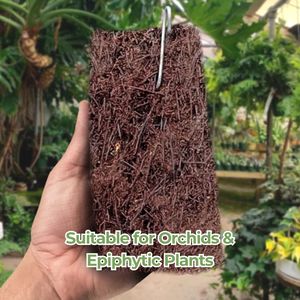 Placa de Placa de Araña Natural de Alta Calidad 15x8cm para Montaje de Orquídeas, Medio de Cultivo para Plantas Epífitas - Product Image 5