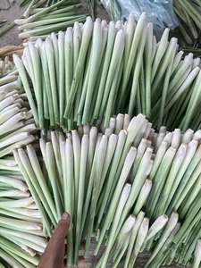 Tiges de citronnelle surgelées IQF de qualité supérieure, qualité alimentaire naturelle, fournisseur du Vietnam - Product Image 3