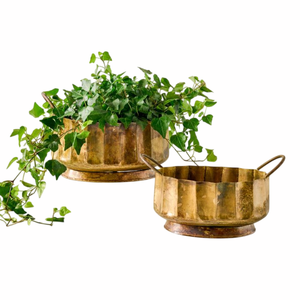Maceta de Latón Antiguo con Planta Verde, Macetero de Escritorio Interior, Estilo Minimalista, Diseño Circular, Hecho a Mano - Product Image 6