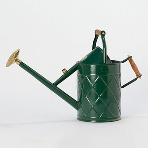 Canne à eau de jardin en métal de qualité supérieure avec long bec pour un arrosage précis des plantes, des fleurs et du jardinage intérieur/extérieur - Product Image 1