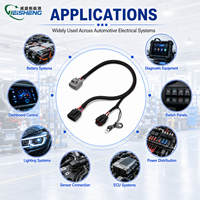 Faisceau de câblage personnalisé Plug and Play avec gaine tressée pour module de commande de mise à niveau de véhicule