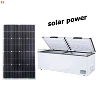 Réfrigérateur à économie d'énergie Réfrigérateur solaire Mini congélateur coffre profond Réfrigérateur congélateur