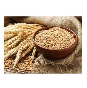 Trigo Rojo Duro de Invierno de Alta Calidad, Grado Alimenticio Premium para Molinos Comerciales, MOQ Disponible - Product Image 1