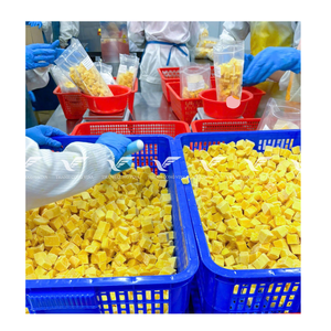 Mangues surgelées de qualité supérieure en provenance du Vietnam pour la vente en gros et l'approvisionnement international en vrac - Product Image 4