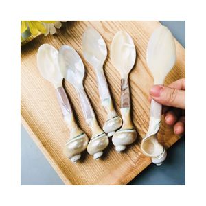 Cuchara de Concha Marina de Lujo Chapada en Oro Hecha a Mano de Primera Calidad de Proveedor Vietnamita - Vajilla y Decoración de Mesa Ecológica y No Tóxica - Product Image 6