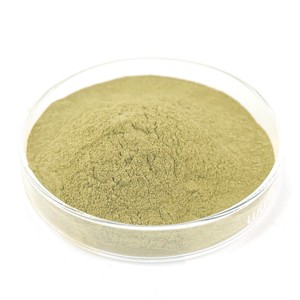 Polvo de Semillas de Calabaza Premium, Superalimento Natural Puro de Semillas de Calabaza, Rico en Proteínas, Fibra y Nutrientes para el Apoyo Diario del Bienestar - Product Image 4