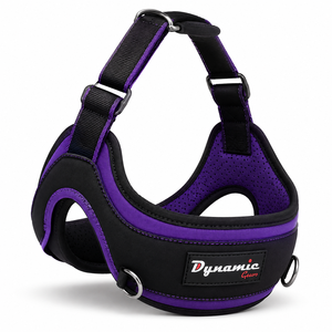Neoprene Adjustable Breathable Heavy Duty Weightlifting Gym <b>Training</b> <b>Head</b> Harness with Durable Chain Belt - Product Image 4