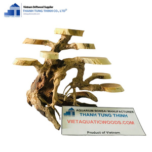 Madera flotante para acuarios, bonsáis y reptiles, ramas de madera para paisajismo de acuarios, decoración para peceras de Vietnam para mayoristas - Product Image 6