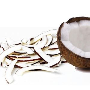 COCO DESHIDRATADO RECIENTEMENTE PRODUCIDO, BAJO EN GRASA, PARA LA INDUSTRIA ALIMENTARIA - Product Image 1