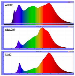 Cámara de Cultivo a Presión para Plantas con LED, Regulación de Clima, Biotron, con Fluctuación de Temperatura y Alimentación de 110V CA - Product Image 4