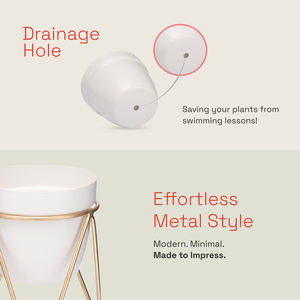 Support de pot de fleurs moderne de haute qualité en fil métallique pour plantes d'intérieur avec roulettes, pour bureau ou sol, type pack, prix bas - Product Image 4