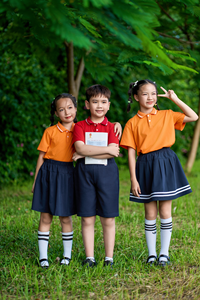 Camiseta Polo Escolar de Poliéster/Algodón con Spandex 50D para Niños de Primaria Vietnamita FMF (Naranja) - Product Image 2