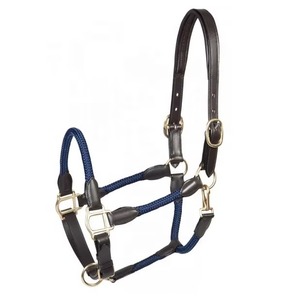 Professional English <b>Style</b> Horse <b>Head</b> Collar High Strength Halter for Jumping and Daily Stable Use Horse <b>Head</b> Collar OEM Service - Product Image 6