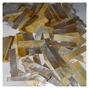 เปลือกหอยมุกคุณภาพพรีเมียมสำหรับงานตกแต่ง งานฝีมือ และงานออกแบบ ผลิตในเวียดนาม - Product Image 1