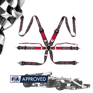 Harnais de course 6 points SPORT PLUS 5 FIA 8853 2016, couleur personnalisée, vente en gros, OEM ODM pour le sport automobile - Product Image 1