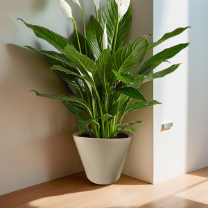 Maceta de plástico de autorriego ligera moderna para uso en interiores y exteriores - Product Image 5