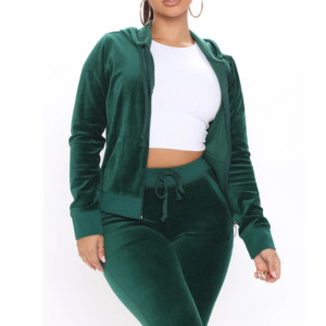 Women Plus Size Velvet Tracksuit <b>Set</b> Hooded Full Length Pants Drawstring Side Pockets Floral <b>Embroidery</b> Casual Autumn Wear - Product Image 3