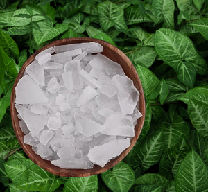 100% Original pur indien Bhimseni camphre naturel églantier parfum aromathérapie bois éliminateur d'odeurs à des fins religieuses - Product Image 1