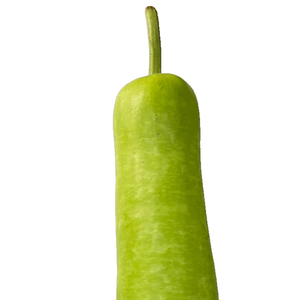 Courge entière fraîche et tendre, produit agricole naturel pour les acheteurs en gros, marchés alimentaires, restaurants et cuisines - Product Image 5