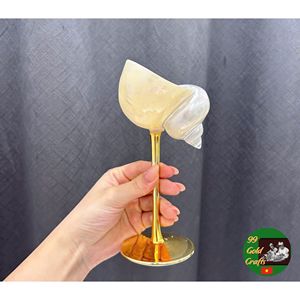 Stylish Natural Seashell <b>Cups</b> for Luxury Beach Wedding Cocktail Serving and Handmade Decorative Home Accessories - Product Image 4
