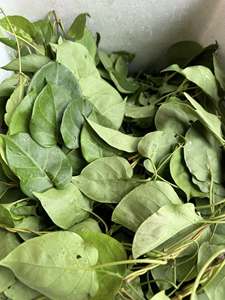 Exportateur Vietnamien : Feuilles de Aganonerion Polymorphum Congelées pour une Saveur Naturellement Acidulée, Carton de 10 kg - Product Image 2