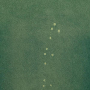 Camisetas de hombre de alta calidad con lavado ácido, diseño personalizado, precio razonable, servicios OEM, 100% algodón, corte holgado. - Product Image 3