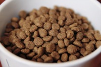 Nourriture pour chiens et chats, haute teneur en protéines, nutrition complète et équilibrée, digestion sensible, gain musculaire, 100% naturel, croquettes, OEM/ODM, approvisionnement en vrac