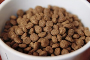 Alimento para Perros y Gatos, Alto en Proteínas, Nutrición Completa y Equilibrada, Digestión Sensible, Ganancia Muscular, 100% Natural, Croquetas, Suministro al por Mayor OEM/ODM - Product Image 5