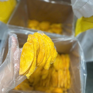 Silky Mango Jerky | Naturally Fleshy with a Burst of Tropical Sweetness - Product Image 1