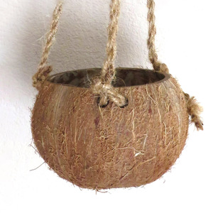 Macetas decorativas para plantas, venta al por mayor a precio de fábrica, maceta de cáscara de coco, maceta ecológica. - Product Image 6