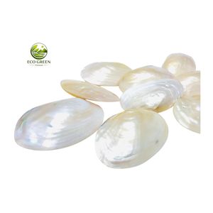 Wholesale Eco-Friendly Oval Natural MOP Pearl Shell <b>Plate</b> Small Soap <b>Ring</b> Holder Tray Shell Dish for Smudge Stick Candle Craft - Product Image 2