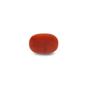 Natural Red Coral Oval Cabochon Loose Gemstone-11.6 Carat AA Quality 4mm Size Certified Wholesale - Product Image 2