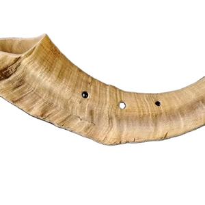 Tasse à corne à boire Viking authentique Divit | Chope à corne de bière médiévale authentique | Tasse à corne/Stein d'une capacité de 24oz. (Jarl, Poli) - Product Image 1