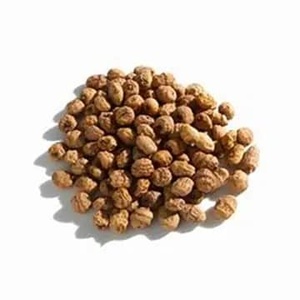 เมล็ดฟักทองเกรดพรีเมียม คุณภาพสูง สดใหม่ อบแห้ง ปลอดจีเอ็มโอ ทอดกรอบ รสเปรี้ยว พร้อมขายส่ง - Product Image 2
