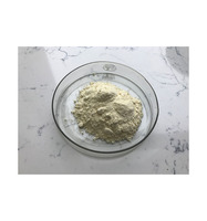 Lécithine de Soja en Poudre Qualité Supérieure Service OEM Qualité Alimentaire Vente en Gros Approvisionnement en Vrac Stock Disponible Produit d'Exportation de Qualité Supérieure