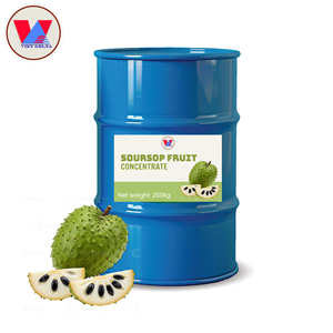 Concentrado de Jugo de Guanábana Congelado Premium – Concentrado de Fruta Tropical Natural para la Industria de Bebidas - Product Image 1