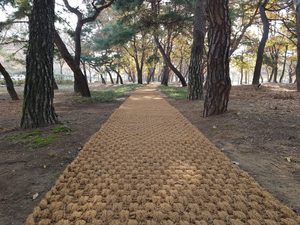 100% Eco Friendly Coconut Fiber Coir <b>Mat</b> <b>Roll</b> From Vietnam Brown Walkway Paving <b>Mat</b> Natural Coir Flooring Landscape Size 1.5*10m - Product Image 2