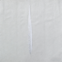 Plumes de faisan argenté artificielles teintées de 50-60 cm en gros pour décorations de mariage, de fête, de carnaval et accessoires capillaires