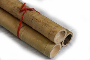 Varas de Bambú Tratadas de Alta Calidad, Estacas de Bambú Duraderas para Agricultura - Product Image 2