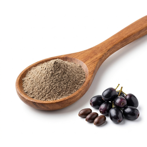 Natural Jamun <b>Seed</b> Powder Bulk Wholesale Exporter Manufacturer Supplier with Global Shipping Support - Product Image 2
