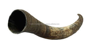 Cuerno de búfalo de alta calidad Cuerno vikingo natural pulido de vidrio grande para una experiencia de bebida Premium - Product Image 3