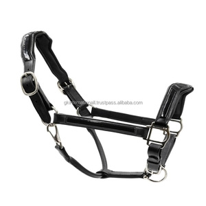 Harnais de luxe pour cheval en cuir verni, doublement rembourré, confort supplémentaire, avec ferrures en laiton nickelé robustes - Product Image 1