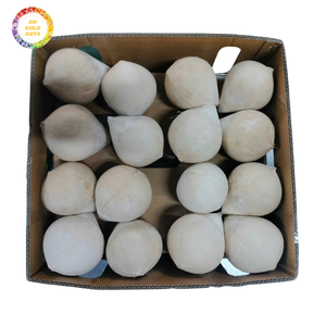 Coco Verde Fresco Premium, Coco Tierno para Suministro a Supermercados y Comercio Mayorista de Importación - Product Image 1