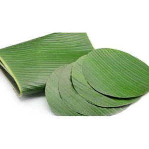 Mejor Precio Hoja de Plátano Natural Verde Marca GMG de Vietnam para Mayoristas - Product Image 1