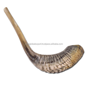 Shofar yemenita hecho a mano de alta calidad, cuerno Natural que sopla Rosh Hashanah Kosher Kudu Ram Horn, shofars ecológicos - Product Image 3
